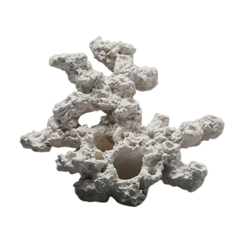 Fonowx C\M`NAɐBBƃI[igAACmA@\, Style D