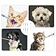 MigWoo Tablettengeber für Katzen, 6 Stück mit 3 Reinigungsbürsten, Praktisches Set Tablettenteiler Medikamenten Feeder für Katzen und kleine Hunde, Ideal für Reisen und den täglichen Gebrauch