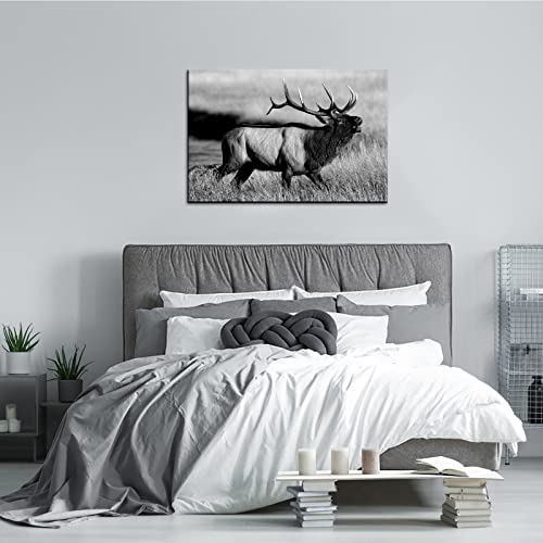 Conipit Black White Bull Elk Canvas Wall Art Animal Picture Framed 24X36 Inch Deer Artwork Painting For Living Room Bedroom Farmhouse Wall Decor Ready To Hang #TOP4