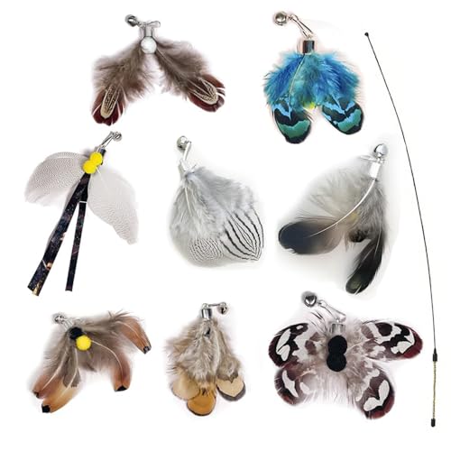 Cat Feather Toy Wand with Replacement Heads - Interactive Indoor Cat Toys (8pcs Refills), Set of 8 Insect Heads with Bells