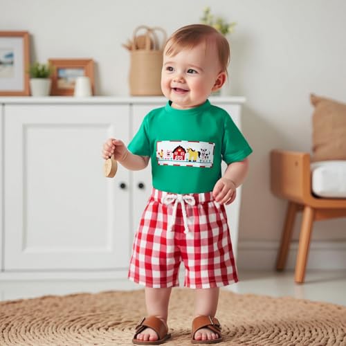 Toddler Baby Boy Farm Clothes Animal Embroidery Short Sleeve T-Shirt Plaid Shorts Set 2Pcs Summer Outfits3