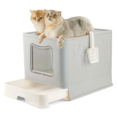 Pawsayes Cat Litter Tray Large, Enclosed Top Entry Extra Large Cat Litter Box with Lid for Medium and Large big Cats, High Sided XL Big Jumbo Cats Litter Tray for Multi Cats(Grey)
