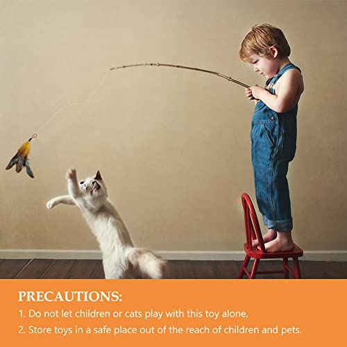 Giochi per Gatti,Gatto Interattivo