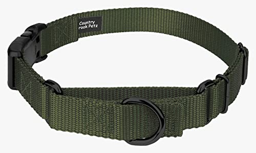Country Brook Petz Heavy Duty Nylon Adjustable Martingale Dog Collar with Deluxe Buckle for Small Medium Large Breeds - 30+ Vibrant Color Options (1 Inch