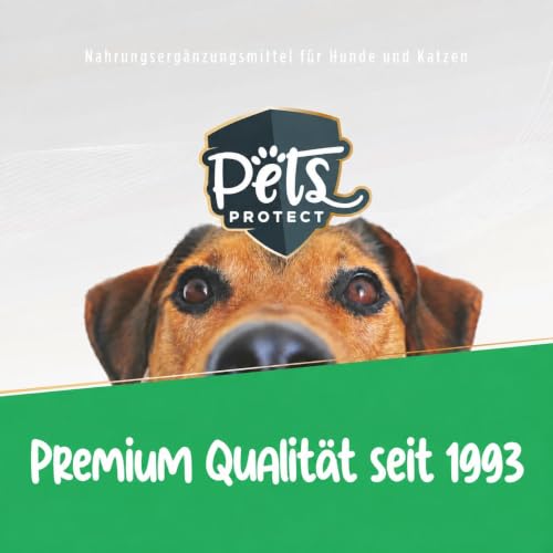 Pets Protect 1kg GEMÜSE-Mix für Hunde & Katzen | 100% natürliche Gemüse-Flocken aus Deutscher Herstellung | Barf-Zusatz Hund | Getreidefrei | Ohne künstliche Zusätze | Für Allergiker