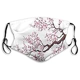 【Einfach zu tragen】Es kann die Beschädigung von Staub, kleinen Partikeln in der Luft, Pollen usw. verhindern. Staub- und geruchsresistent; Waschbar und wiederverwendbar.