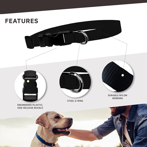Image of Dog Collar - Colored Adjustable Pet Collars, 1 Inch Wide, Extra Large, Yellow