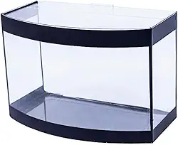 Aquário Aquaterrário Curvo Faixa Preta 50cm