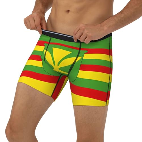 Native Hawaiian Flag Men's boxer briefs, high-elastic, breathable fabric, multiple sizes (S-2XL)3