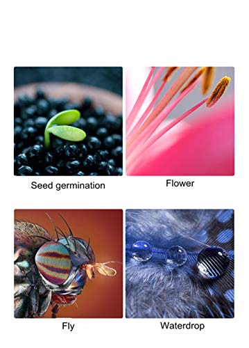 VILTROX DG-C Tubo de Extensión Macro Enfoque Automático para Canon EF EF-S Lente EOS 1100D 700D 650D 5D 6D 7D - imagen 6