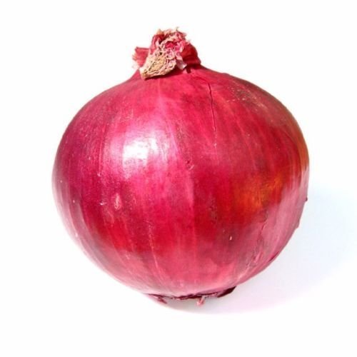 Graines d'oignon rouge de Bourgogne NON OGM faciles à cultiver CombSH Paquet de 500 graines