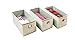 Adorn Insta-Shelf Set of 3 Foldable Accessory closet bins Drawer Organizers (Fits as shoe drawers for Adorn 10-tier Hanging Shoe Organizer)