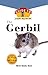 Gerbil: An Owner's Guide to a Happy Healthy Pet (Your Happy Healthy P, 131)