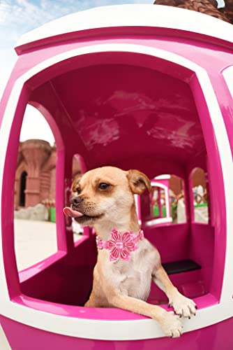 Lionheart Glory Dog Collar, Pink Dog Collar With Flower, Cute Floral Pattern Pet Collar Adjustable Dog Collar For Medium Dogs #TOP5