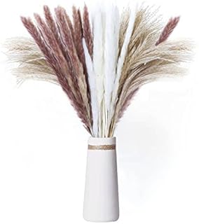 Hioph 60 Pcs Natural Pampas Grass Decor 18"/45cm Dried Pompous Reed Grass Branches for Flower Arrangement Wedding Artificial Phragmites Bouquet Boho Home Decoration