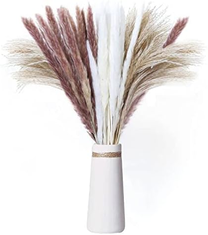 Hioph 60 Pcs Natural Pampas Grass Decor 18"/45cm Dried Pompous Reed Grass Branches for Flower Arrangement Wedding Artificial Phragmites Bouquet Boho Home Decoration