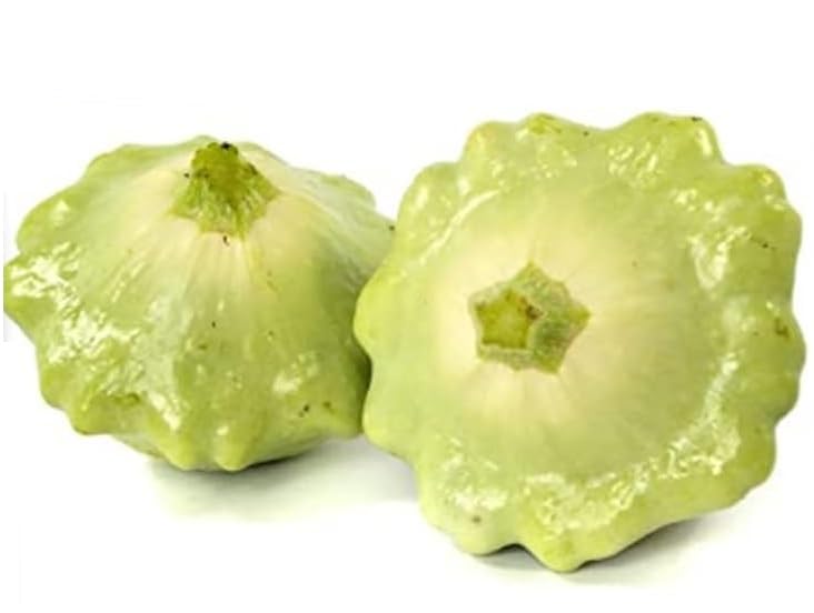 High Yield Bennings Green Tint Squash Seeds for Kitchen Gardening-20 Seeds-image-33