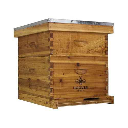 Wax-Coated 10 Frame Beehive - Deep & Medium