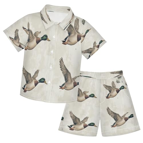 Boccsty Mallard Ducks Flying Boy Summer Shorts Sets Hawaiian Toddler Boys T-Shirt & Pants 2 Pcs 3T