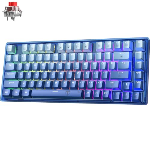 RisoPhy 60 Percent Mechanical Gaming Keyboard - 82 Keys Hot...