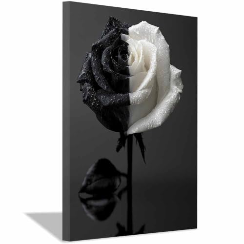 Affiche noir et blanc XENIOU 40x60cm encadrée pour décoration moderne