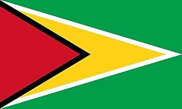 Perfectflags Guyana Flag 5ft x 3ft Large - 100% Polyester - Metal Eyelets - Double Stitched