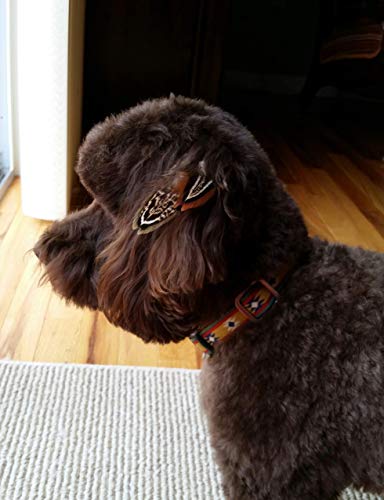 Marityn Dog Dog Collar Aztec Navajo Tribal Southwest Boho Bohemian Native American Inspired. For Puppy Small Dogs To Large Dogs Handmade In Usa thumb #5
