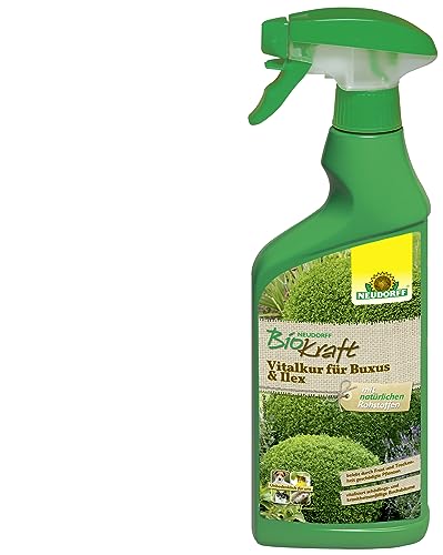 Preisvergleich Produktbild Neudorff BioKraft Vitalkur für Buxus & Ilex AF Anwendungsfertiges Spray vitalisiert geschwächte Buchsbäume durch Schädlinge, Krankheiten, Frost und Trockenheit, 500 ml