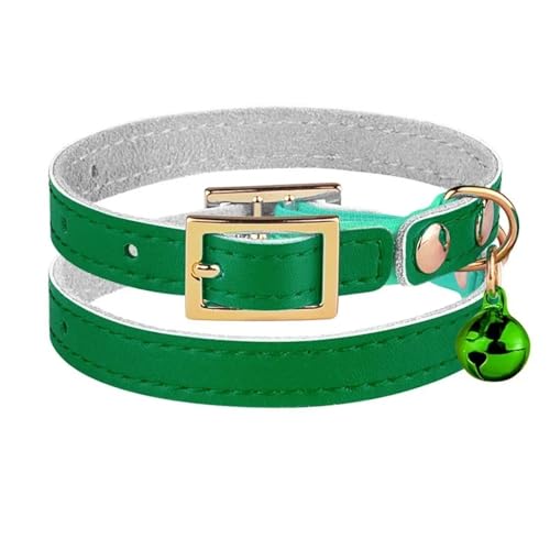 xYELeBEJ[̏_炩{̊vL݈̋SeohybgqlbNXANZT[\XS S,,XS