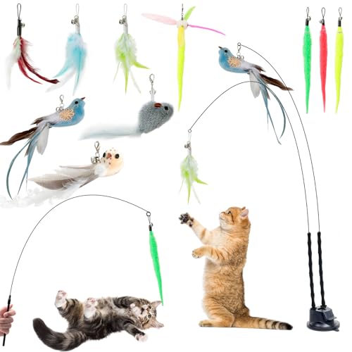 AiQInu 13 Pezzi Giochi per Gatti, Gioco Gatto Interattivo con Ventosa, 2 Canna Pesca Giochi Interattivi per Gatti, Uccelli Piuma Bruco Giocattolo Gatto, Giocattolo di Intelligenza per Cat Bacchetta