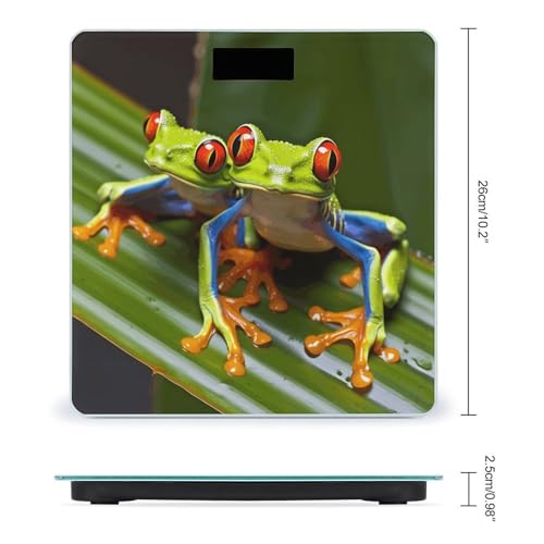 Báscula digital de baño con plataforma de vidrio templado miniatura 2