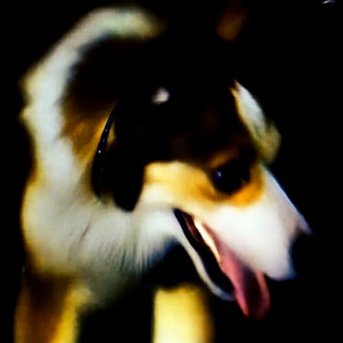 Tabletas guardada en la mochi [Explicit]