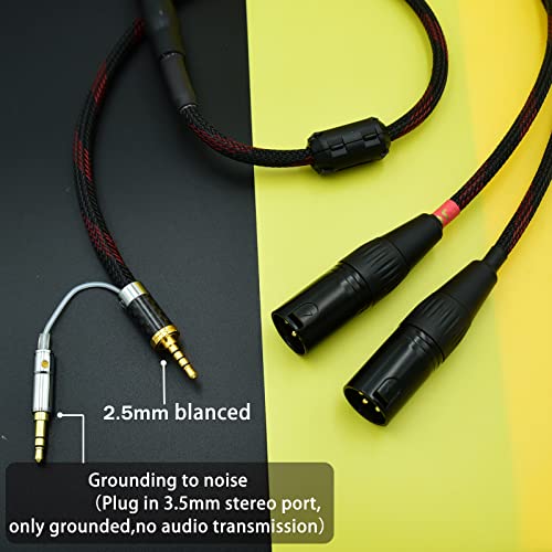 2.5mm Trrs to 2 Dual XLR Male Cable Balanced Audio for Astell&Kern AK100II, AK120II, AK240, AK380, AK320, DP-X1A, FIIO X5III XDP-300R iBasso DX200, KANN etc SP1000M SP2000 SR15 SE100 KANN CUBE (3ft) by Arklove - Used condition - Image 2