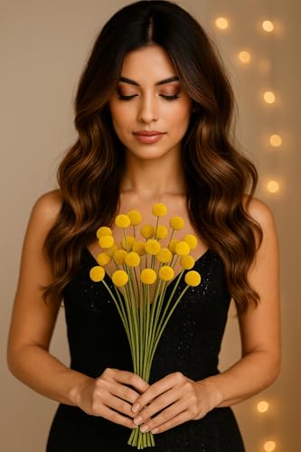 Flores Secas Craspedia, 15 Tallos, Amarillo miniatura 1