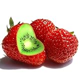 🌱 REGALO: Esta semilla es un gran regalo, puede dársela a amigos, parientes, vecinos en cualquier día festivo, nadie se negará.