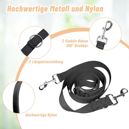 Hundeleine 2.5m Schleppleine Verstellbare Doppelleine Leichte für Kleine Mittelgroße Hunde mit 2 Karabiner für Training Outdoor Aktivitäten Schwarz