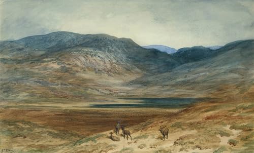 Cuadro de paisaje montano con cervi Gustave Doré impresiones decorativas de salón 60x90cm