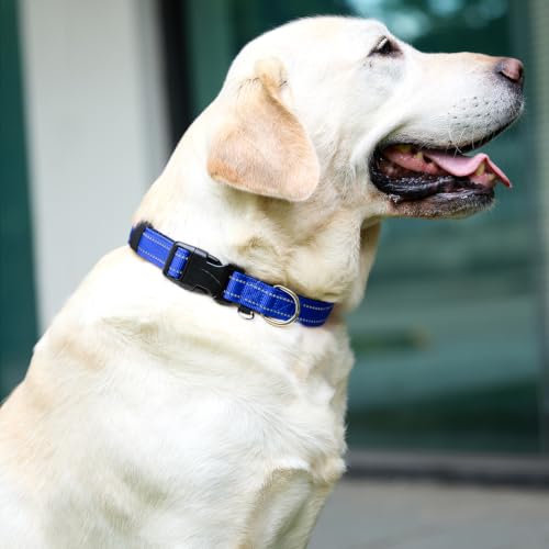 Reflective Nylon Dog Collar for Medium Dogs, Neoprene Padding,Blue by ARLSIM - Used condition - Image 2