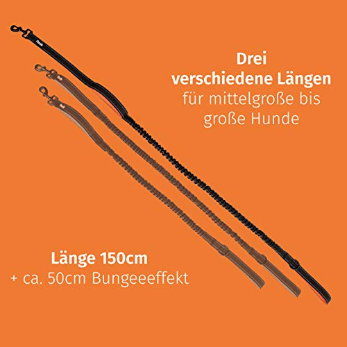 Floxik Hundeleine elastisch 150 cm | Premium Bungeeleine inkl. Kurzführer in verschiedenen Größen (1 m / 1,20 m / 1,50 m) | schwarz/orange & reflektierend