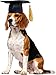 Rubie's Black Graduation Hat Pet Accessory, Small/Medium
