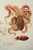 Vintage Octopus & Cuttlefish Notebook