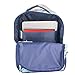 AI ACCESSORY INNOVATIONS Bluey & Bingo Backpack for Girls & Boys, Multi Pocket Bookbag with Adjustable Shoulder Straps & Padded Back, Blue