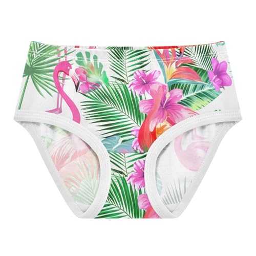 Pattern Toddler Underwear Custom 2t Cotton Girl Panties Cute Tropical Pink Flamingos Hawaii Underpants Briefs