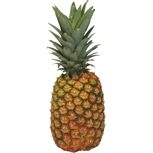 Fresh Tropical Gold Hawaiian Pineapples (3 ea)