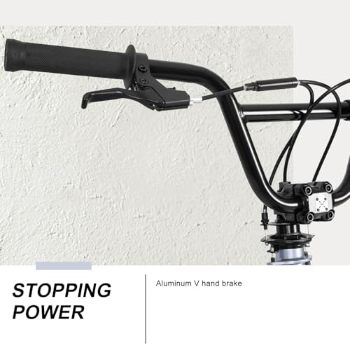 WEIZE Freestyle 20 Inch BMX