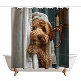 XMWYTJ Cute Teddy Dog Shower Curtains Funny Dog Barn Door Decor Polyester Fabric Waterproof Bathroom Curtains Set with 12 Hooks,71 X 71 Inches
