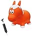 Farm Hoppers Award Winning Inflatable Bouncing Orange Horse Plus Pump