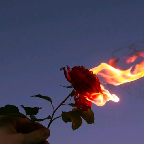 The infierno producce inc