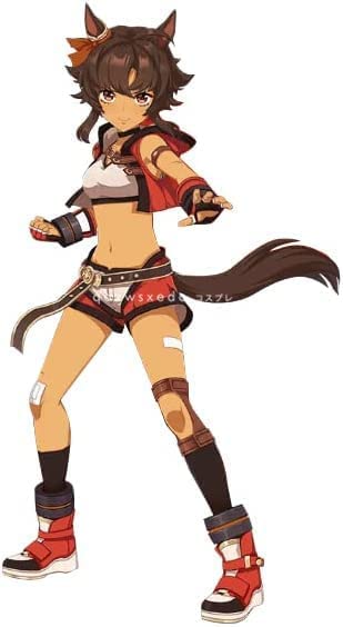 Amazon.co.jp: ウィッグ、靴付きウマ娘 プリティーダービー
