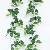 mizii 2 Strands Artificial Scindaps Vines Garland 73' Fake Vine with Silk Green Leaves Faux Hanging Plants Greenery Decoration for Bedroom Wall Party Wedding Apartment Room Decor (Scindapsus)